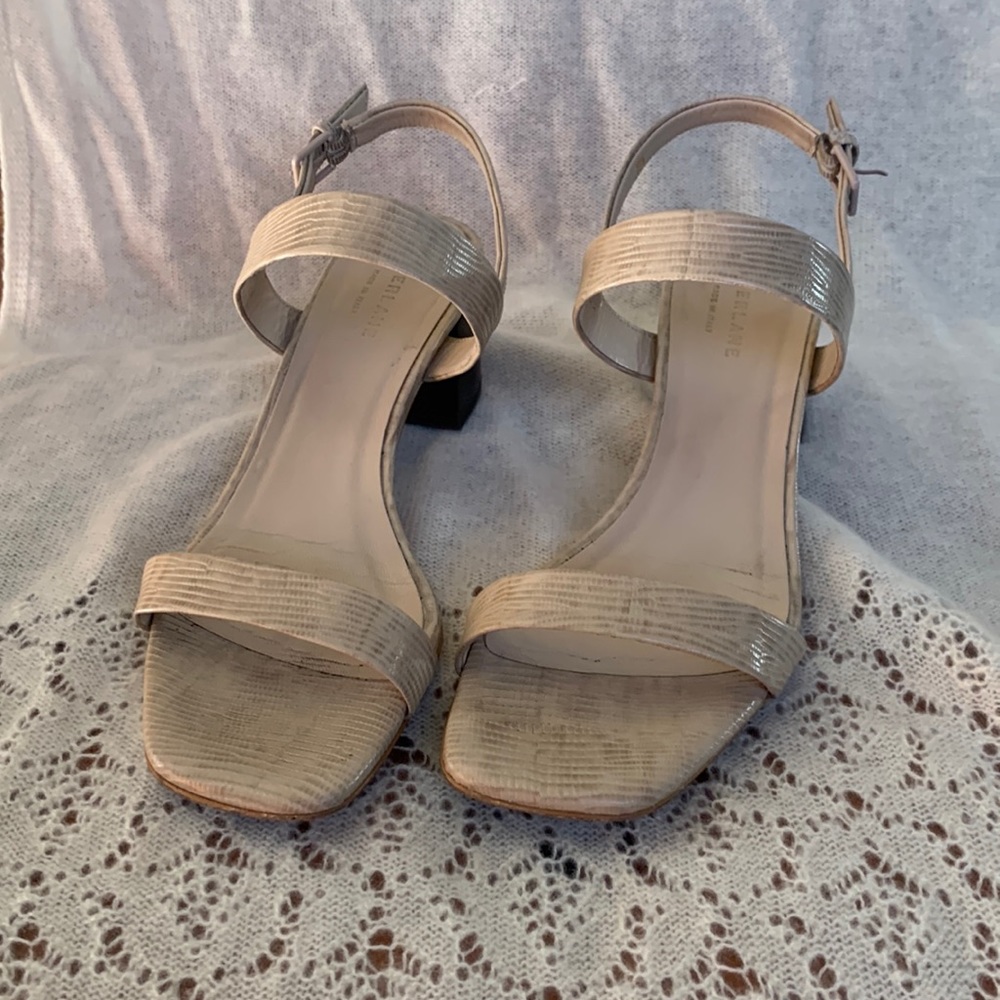 Everlane low heeled strappy sandals